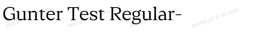 Gunter Test Regular字体转换